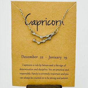 Silver Capricorn Constellation Necklace - NWT